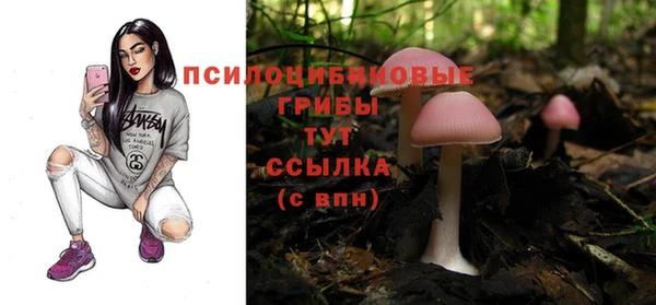 гашик Нягань