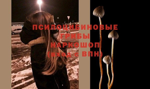 ГАЛЛЮЦИНОГЕННЫЕ ГРИБЫ Абаза