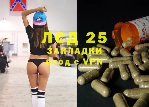 ГАЛЛЮЦИНОГЕННЫЕ ГРИБЫ Абаза