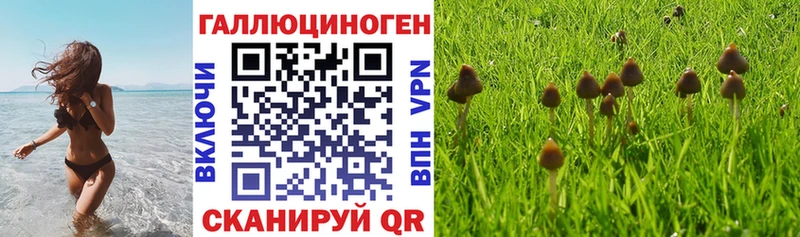 Псилоцибиновые грибы Cubensis Кумертау